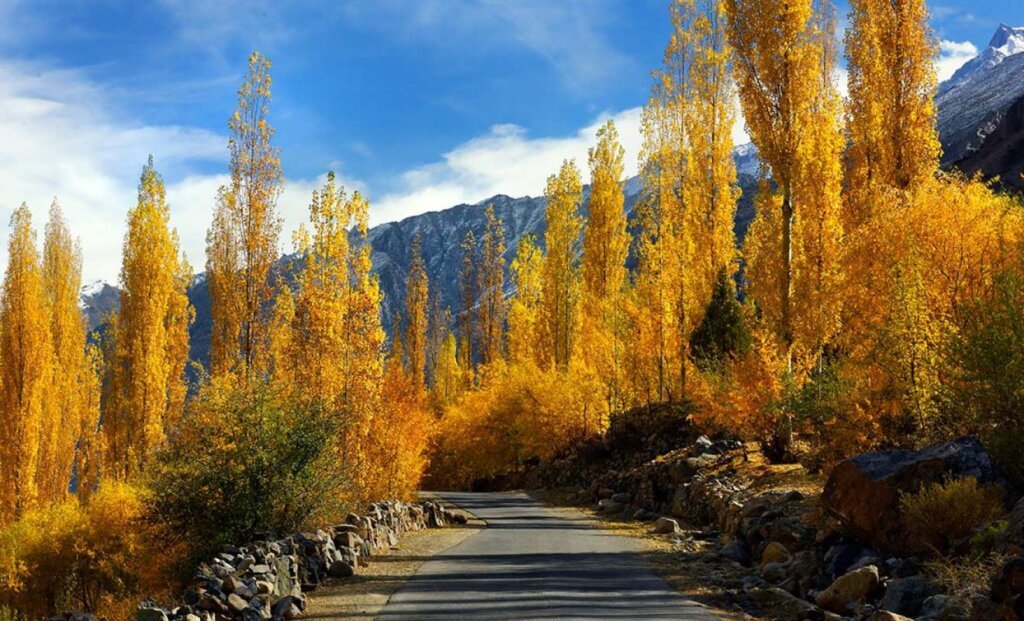 Autumn at Gupis Valley, Gilgit Baltistan