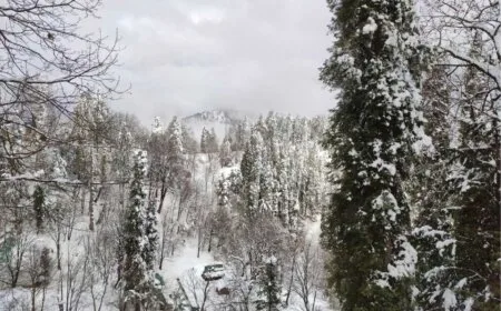 Snowfall in Murree