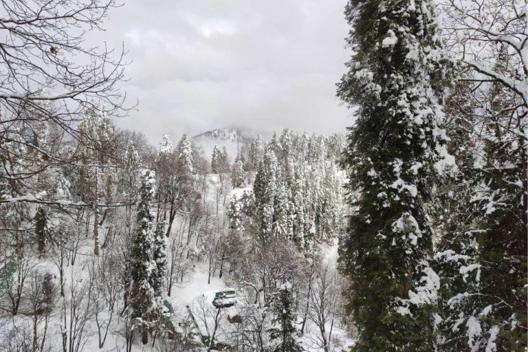 Snowfall in Murree