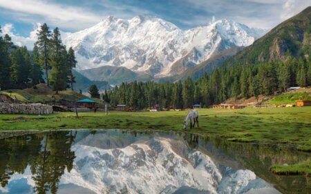 northern areas of Pakistan