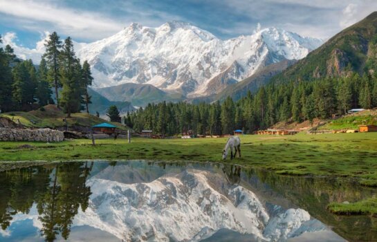 northern areas of Pakistan