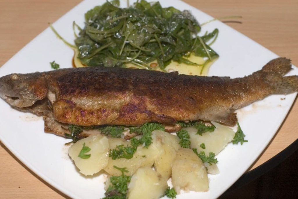 Trout Fish