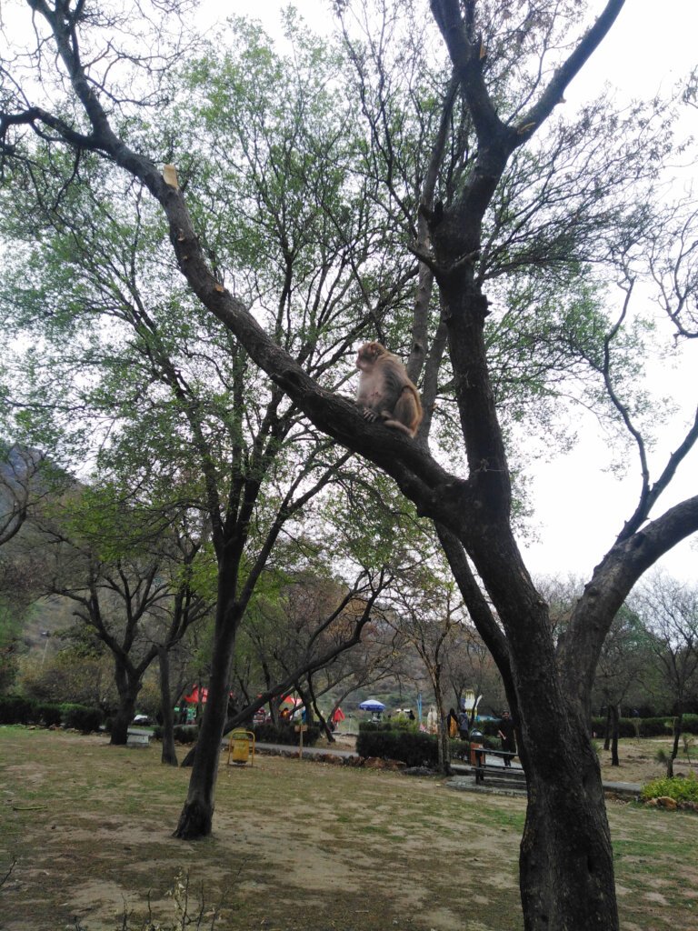 Dam-e-koh-viewpoint-tourist-places-in-Islamabad