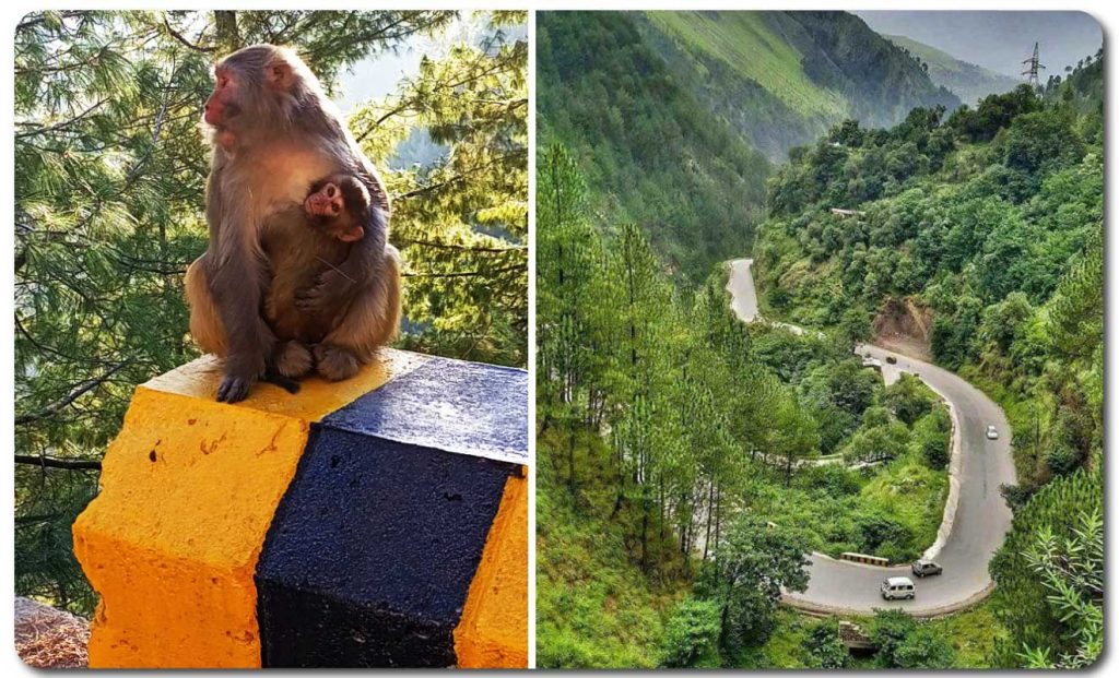 Nathia Gali - Places to visit in Murree