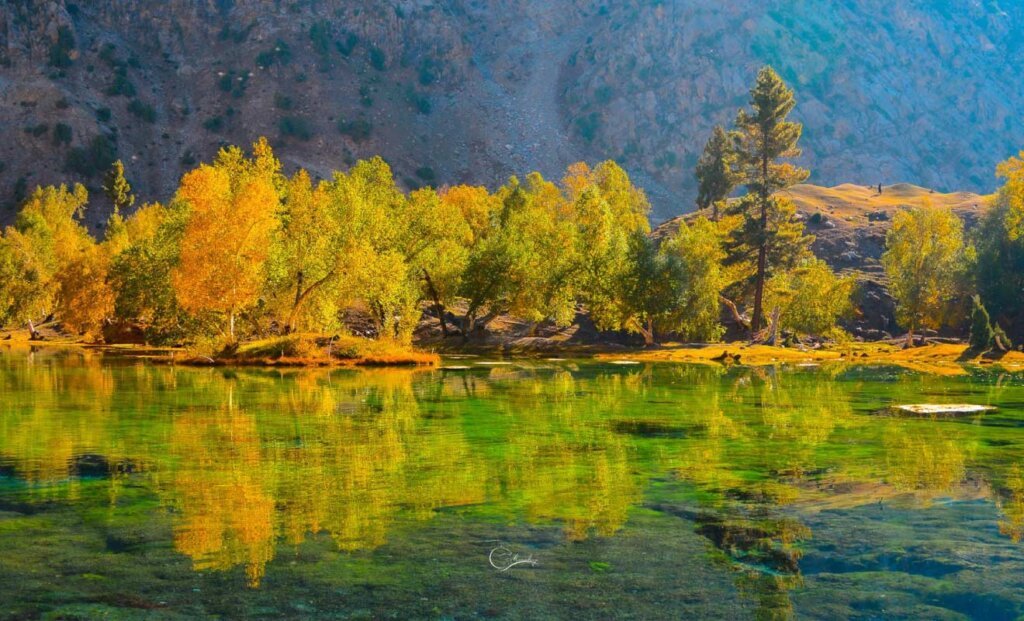 Autumn Trees, Naltar Valley Gilgit Pakistan